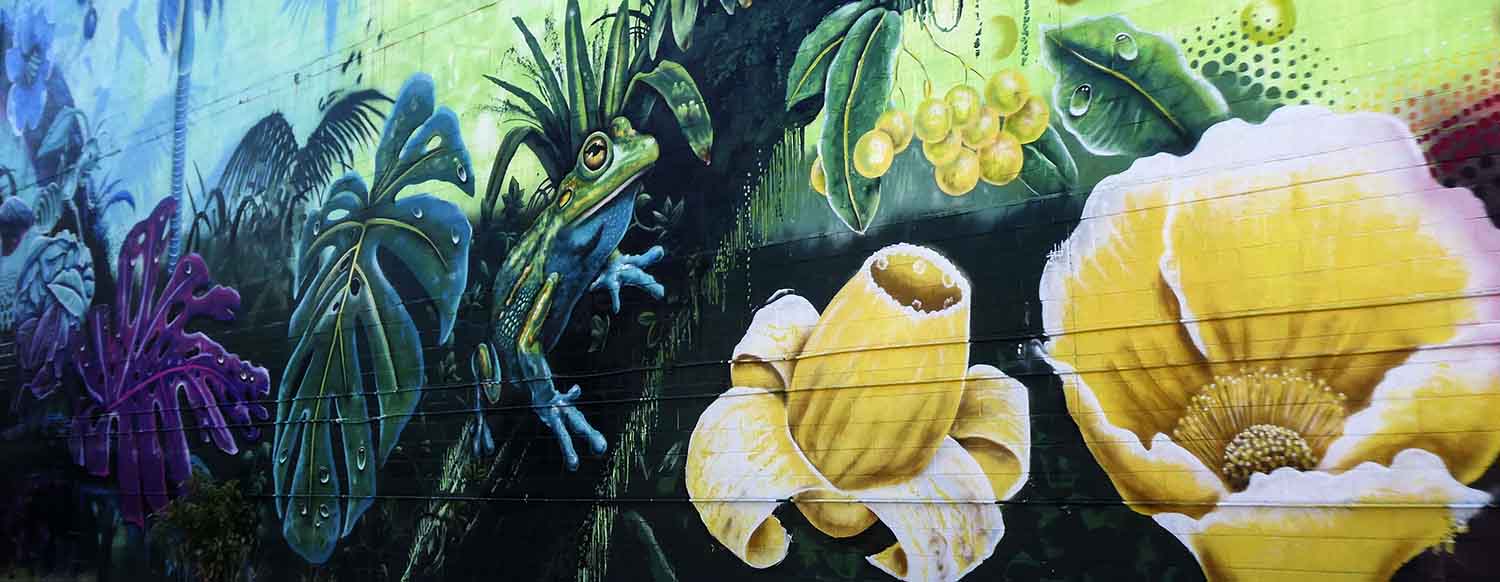 Darwin's Stellar Street Art Trippin' Turpins